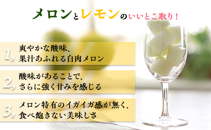 【希少！数量限定先行予約 2026年発送】 レモンメロン Lサイ