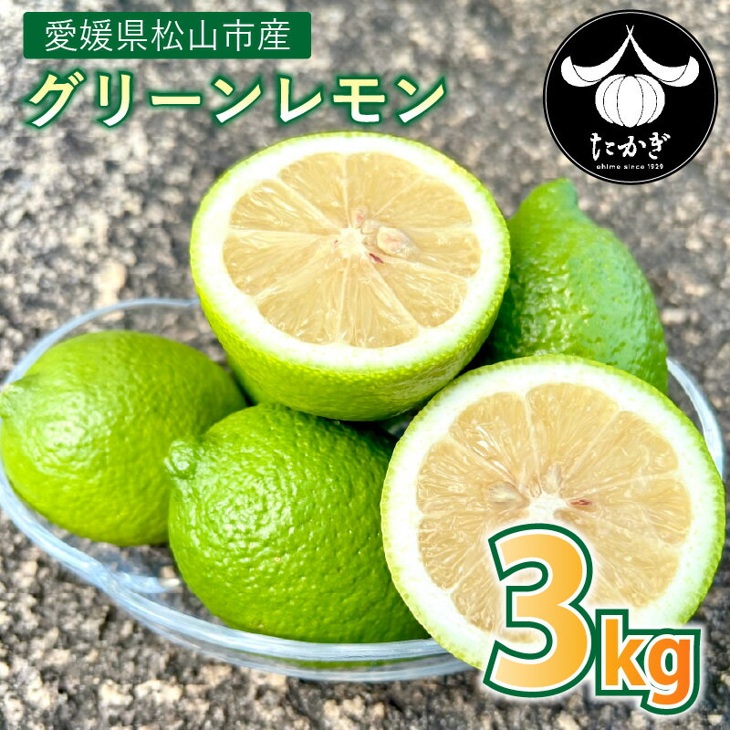 【ふるさと納税】 グリーンレモン 約3kg 愛媛県産 柑橘 みかん 果物 くだもの フルーツ 国産 新鮮 香り豊か 酸味 甘み ドレッシング スイーツ お取り寄せ グルメ 人気 おすすめ 期間限定 数量限定 ご当地 ギフト 贈答 ご家庭用 贅沢 送料無料 愛媛県 松山市 たかぎ果樹園