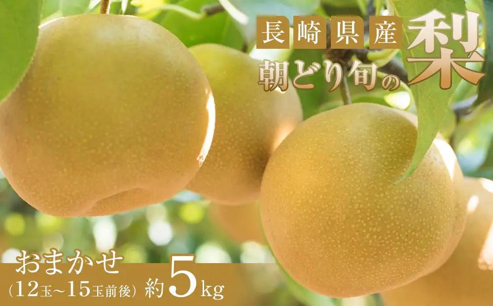 長崎県産 朝採れ 旬の梨 おまかせ 約5kg（12玉～15玉前後）