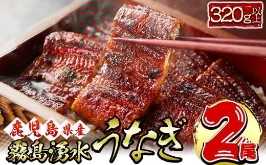【志布志市人気No.1お礼の品】霧島湧水鰻の蒲焼き 160g以上×2尾＜計320g以上＞ うなぎ 鰻 ウナギ 2尾 国産 九州産 蒲焼き かばやき 冷凍 うな重 ひつまぶし タレ 山椒 ランキング 人