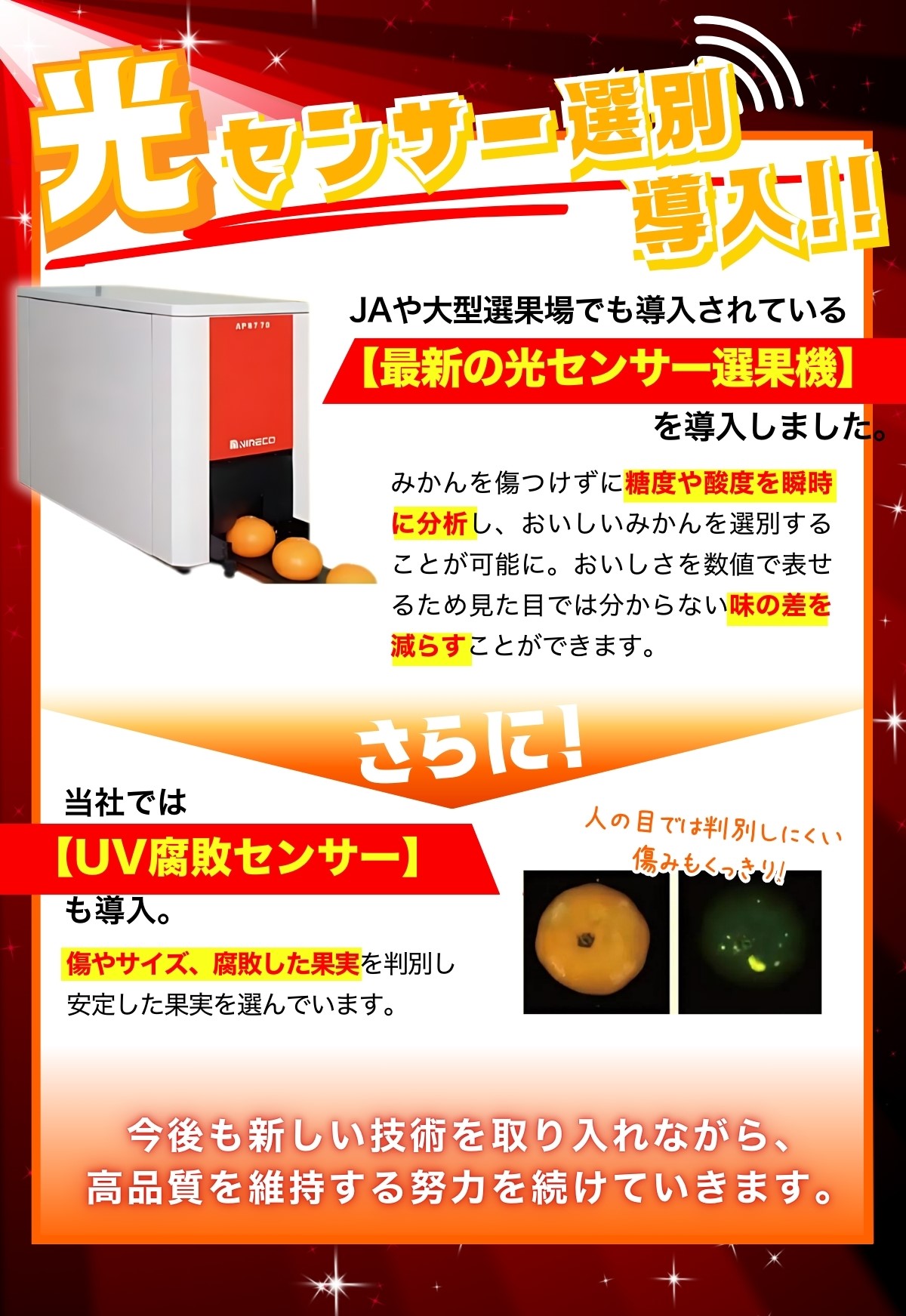 【2024年11月発送】【家庭用】こだわりの有田みかん 約2.5kg＋75g(傷み補償分) 【11月発送】みかん ミカン 有田みかん  ※北海道・沖縄・離島配送不可【nuk159-1A】