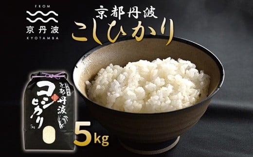 京丹波こしひかり 5kg 令和7年産 京都 精米 コシヒカリ ※北海道・沖縄・その他離島は配送不可 [010MB001]