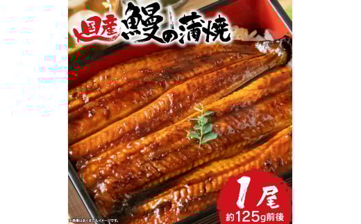 【お試し】 国産 うなぎ 長蒲焼 1尾 約125g前後 鰻 小分け 老舗 専門店 うなぎ処京丸 静岡 静岡県 人気 土用 丑の日 