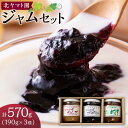 【ふるさと納税】ジャム セット 570g ( 190g × 3種 ) 北ヤマト園 | 食品 加工食品 人気 おすすめ 送料無料