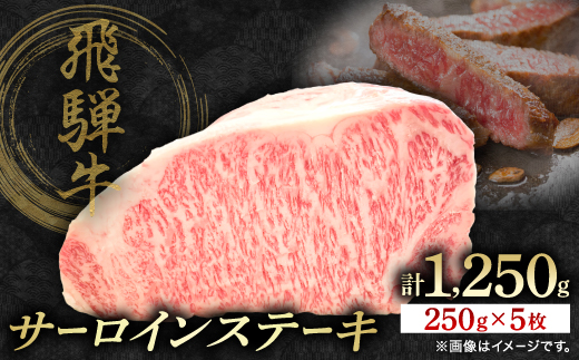 飛騨牛サーロインステーキ　250g×5枚　計1250g【配送不可地域：離島】【1641967】