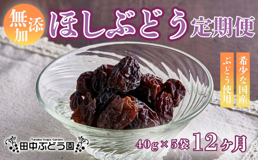 【定期便　毎月お届け12ヵ月】ほしぶどう 40g×5袋 国産 ドライフルーツ 無添加 複数品種 希少 レア 小分け 干し葡萄 干しぶどう 干しブドウ 保存食 備蓄食 常備食 食物繊維 鉄分 ほしぶどう