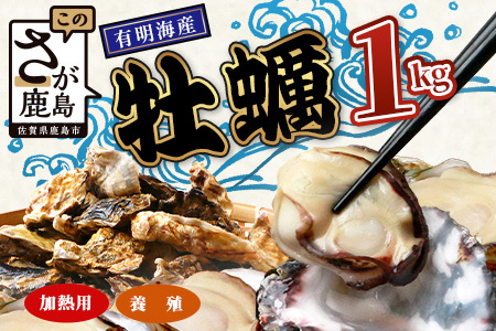 有明海産 養殖牡蠣1kg 冬季限定｜殻付き生牡蠣｜加熱調理用｜新鮮 佐賀県産 カキ【レンジで簡単調理】お正月 夕食 おつまみ おかず 佐賀県 鹿島市 人気 AA-12