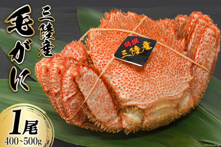 三陸産 毛蟹 総重量400～500g （正味重量 300～400g）1尾 濃厚かに味噌 [かわむら家 宮城県 気仙沼市 20564379] 国産 かに カニ 蟹 毛ガニ 毛がに 毛蟹 ボイル 冷凍 海鮮 海産物 魚介 レビューキャンペーン