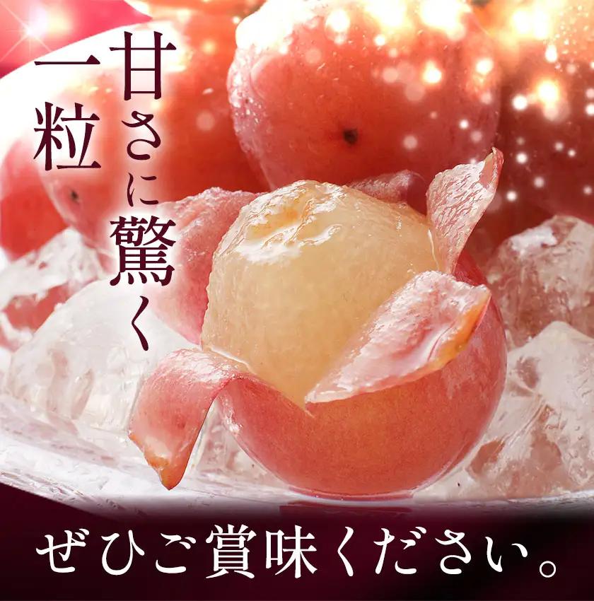 ぶどう ブドウ クイーンニーナ 1kg 《8月下旬-10月上旬頃出荷》
