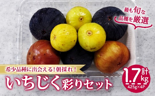 ＜先行予約！2026年8月下旬以降順次発送予定＞様々な品種のいちじく詰め合わせセット(約425g×4P・約1.7kg)【man369】【はざま篠原農産合同会社】