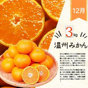 【8・9・12月 全3回 定期便 】紀州和歌山産旬のフルーツセット（種なし巨峰・シャインマスカット・みかん）【UT122】
