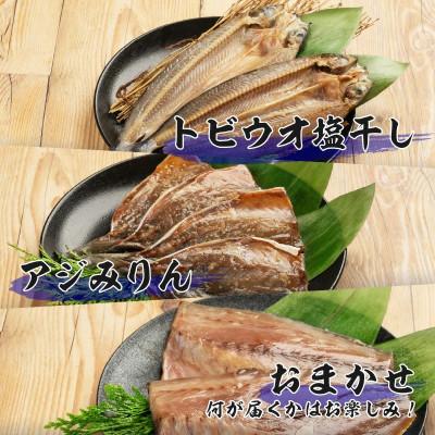ふるさと納税 日南市 山野水産 干物 セット 24枚 詰め合わせ |  | 03