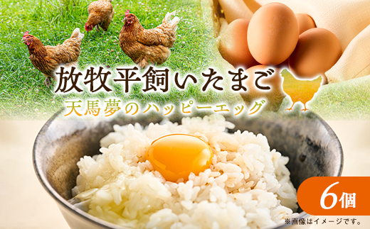 天馬夢のハッピーエッグ　6個【配送不可地域：離島・沖縄県】