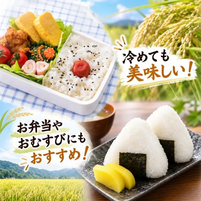米 令和7年産 伊賀米コシヒカリ 15kg（5kg＋10kg） コシヒカリ【jaig0002】