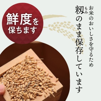 JAS認証 有機栽培米  玄米 5kg 新潟県産 コシヒカリ