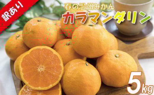 訳あり カラマンダリン 春みかん 2S-3L 約5kg