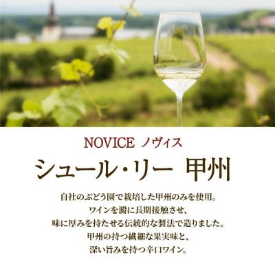 ふるさと納税 笛吹市 白ワイン NOVICE(ノヴィス)甲州 2種 2本セット 日川中央葡萄酒 山梨県笛吹市 |  | 01