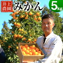 ＜配送時期が選べる＞数量限定 大分県宇佐市産 温州みかん 約5kg(11月～12月は早生みかん) みかん ミカン 蜜柑 柑橘 フルーツ 果物 くだもの 果実 国産【103600101】【井上農園】