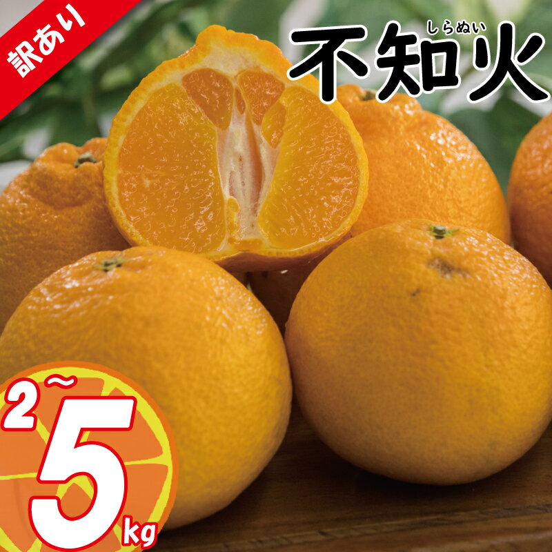 【ふるさと納税】 【先行予約】 訳あり みかん 不知火 しらぬい 約2kg / 約5kg | デコポン でこぽん と同品種 みかん ミカン 蜜柑 愛媛みかん 愛媛ミカン 果物 くだもの フルーツ 家庭用 国産 産地直送 お取り寄せ 愛媛県産 2026年3月中旬頃より発送予定 愛媛県 松山市