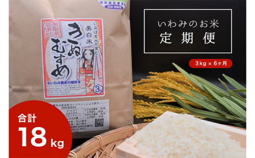 【T-1】【定期便6回】いわみのお米（きぬむすめ）3kg×6ヶ月　令和6年産