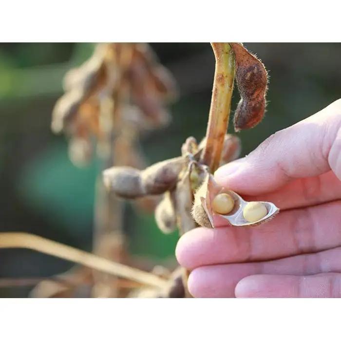 雁の里（醤油2種・味噌2種セット）新潟県　調味料　味噌　みそ　醤油　糀　ギフト　発酵