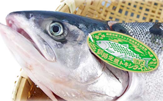 【期間限定！寄附額改定↓！】トキシラズ 約4kg 鮭 サケ 魚 トキシラズ 生鮮 北海道 釧路市 F5F-0111