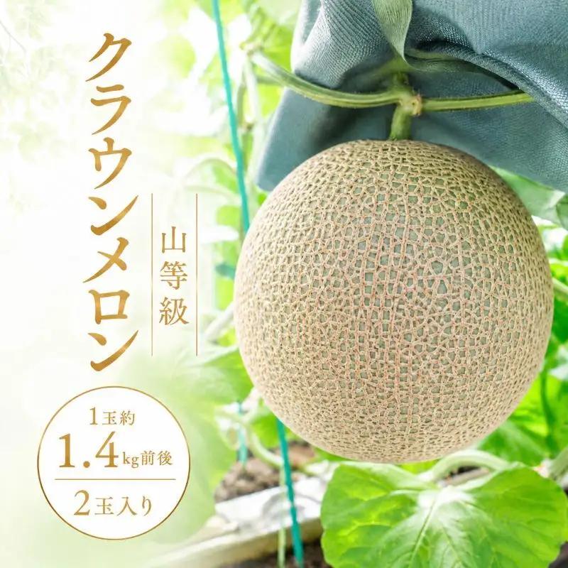 クラウンメロン 山等級 青肉 果物 クラウンメロン【1.4kg前後 2玉】