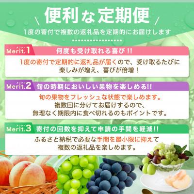 ふるさと納税 笛吹市 【発送月固定定期便】2026年発送 黒葡萄 シャインマスカット全2回 |  | 03