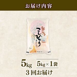 【3回定期便】令和7年産新米 コシヒカリ 5kg 定期便 精米 白米 shibatafarm007
