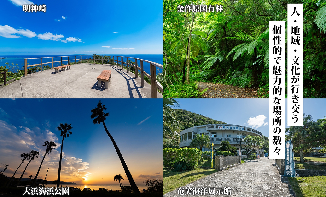 【奄美大島ツアー】後から選べる旅行Webカタログで使える!旅行クーポン(300,000円分) 旅行券　A188-004