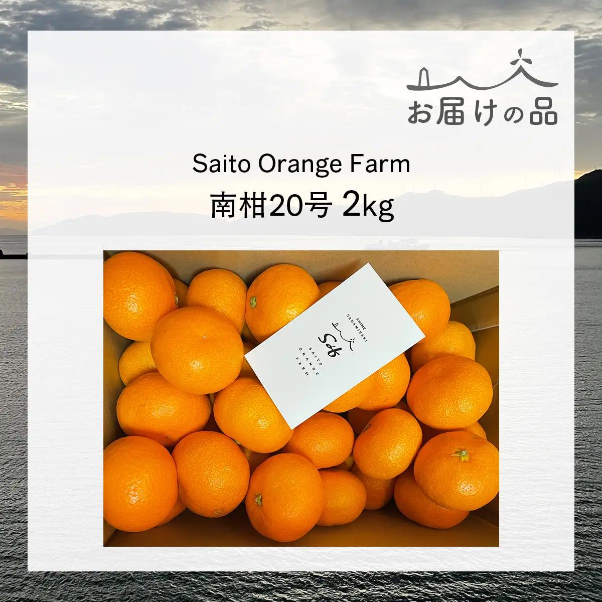 【先行予約】Saito Orange Farmの南柑20号2kg（2026年12月下旬頃より順次発送予定）IKTAQ033