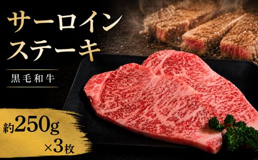 牛肉 サーロイン 黒毛和牛 ステーキ肉 1枚約250g  3枚 (計750g） 国産和牛 肉 にく ぎゅう うし 小分け 便利 ローストビーフ しゃぶしゃぶ 焼肉 おかず 冷凍 人気 おつまみ 贈答 プレゼント 徳島県 吉野川市
