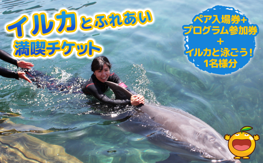 イルカと泳ごう！シングル（イルカとふれあい体験チケット）体験チケット レジャーチケット アクティビティ 動物ふれあい 大分県産 九州産 津久見市 熨斗対応【tsu001204】