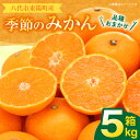 【ふるさと納税】 【先行予約】 八代市東陽町産の季節の みかん 5kg 箱入り ミカン 果物 おまかせ 柑橘 フルーツ 旬 お取り寄せ 国産 送料無料 【2024年9月下旬発送開始】