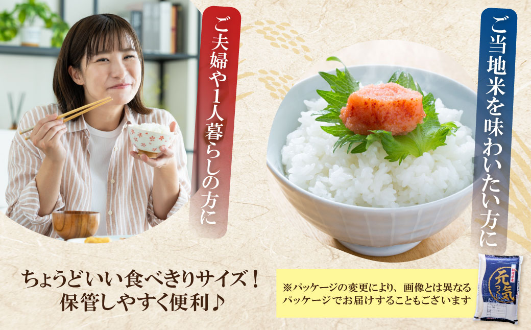研ぐお米 元気つくし2kg