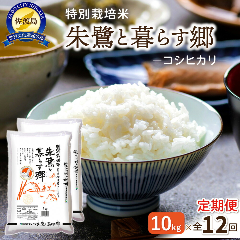 【12ヶ月連続お届け】佐渡産コシヒカリ 朱鷺と暮らす郷（10kg（5kg×2））195969-0012