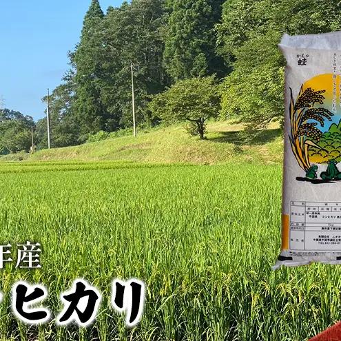 コシヒカリ 白米 令和7年 千葉県産 コシヒカリ【5kg】