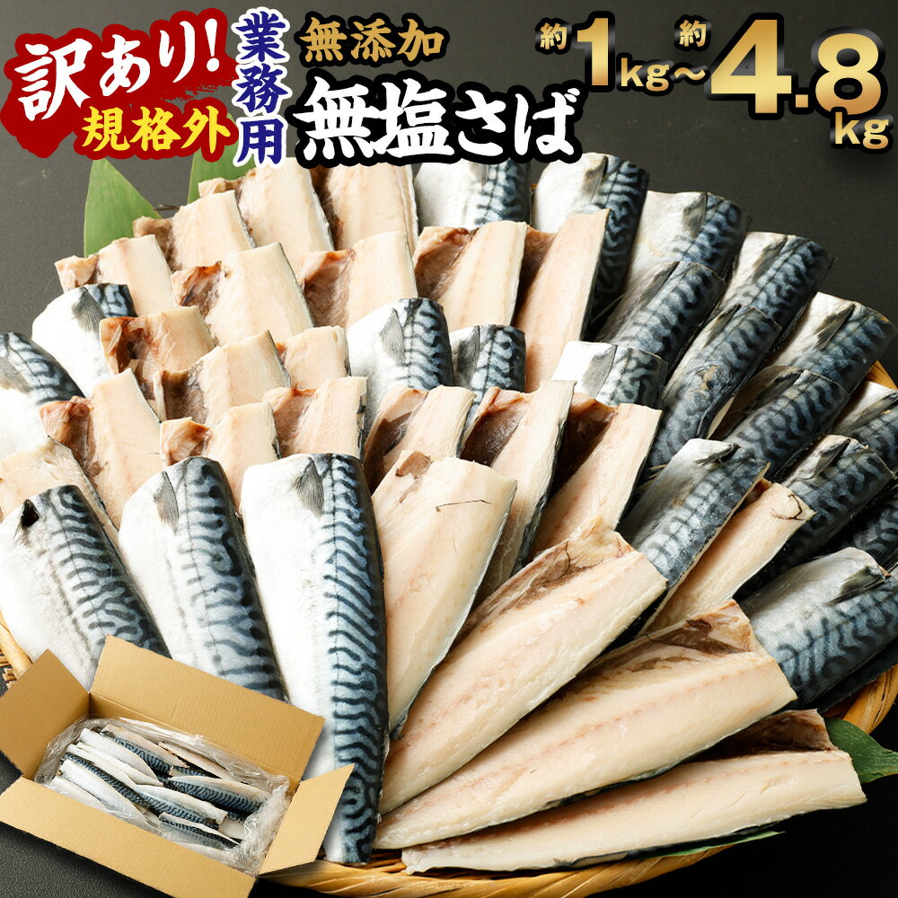 【ふるさと納税】＜選べる＞訳あり 規格外 業務用 無添加 無塩さば 1kg 1.5kg 1.9kg 3kg 4.8kg 鯖 さば サバ 魚 海鮮 魚介類 冷凍 茨城県 神栖市 送料無料
