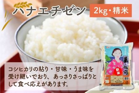 【先行予約】福井のお米 食べ比べセット 2kg × 3種（コシヒカリ・いちほまれ・ハナエチゼン）計6kg 【2026年10月上旬～2027年7月下旬発送予定】 [A-1009]