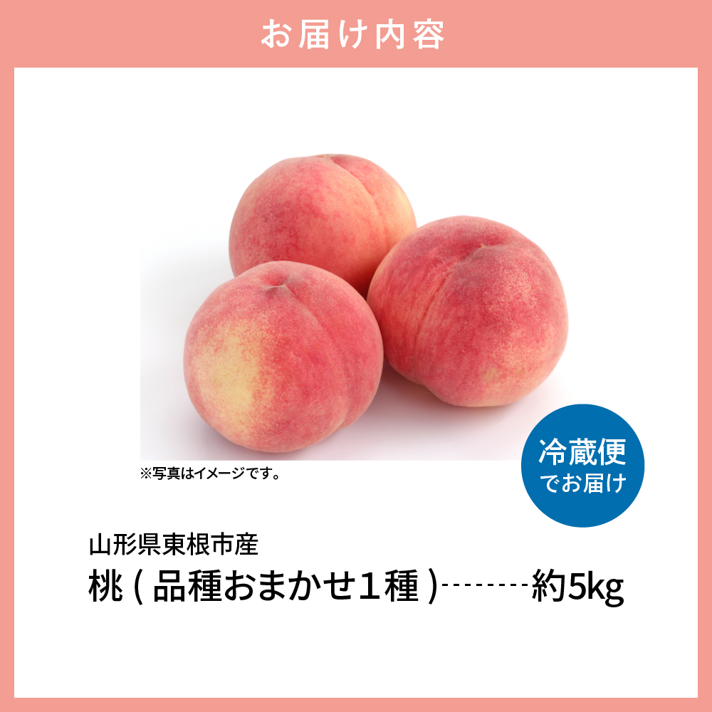 【2026年産 先行予約】もも (品種おまかせ) 5kg JA提供 山形県 東根市 hi003-157