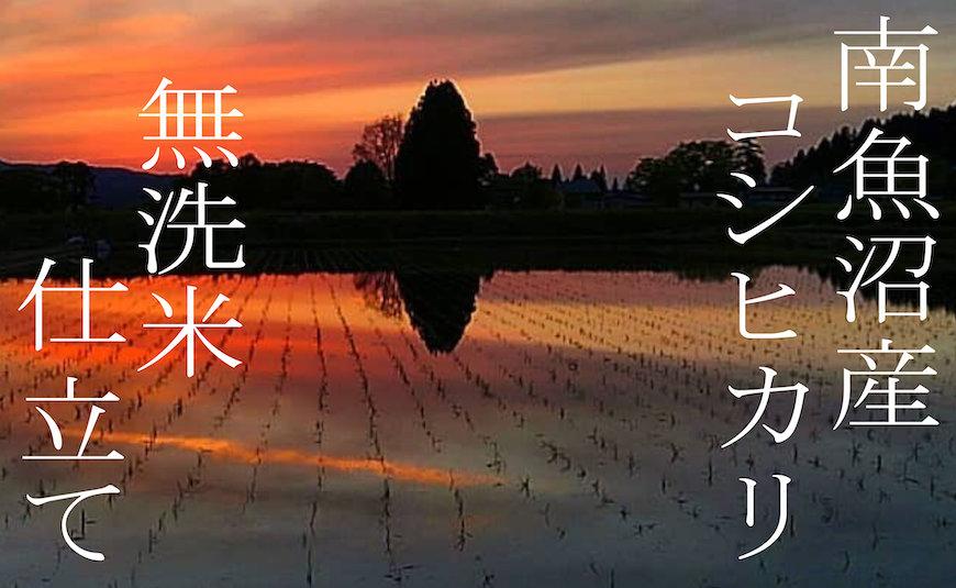 【令和7年産】【定期配送２Kg×全12回】吟精 無洗米 南魚沼産コシヒカリ【2025年10月上旬より順次発送予定】