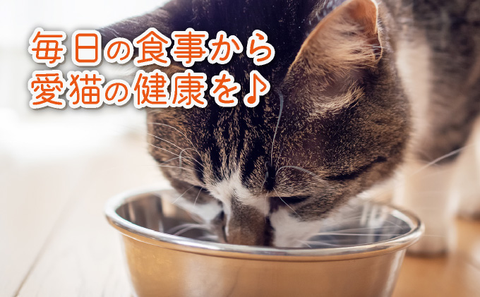 フルオーガニックキャットフード / 500g入  2袋セット｜ペットフード キャットフード 猫用 猫 ごはん 天然素材 小麦粉不使用 グルテンフリー ビタミン 安心 安全 保存料無添加 フルオーガニッ