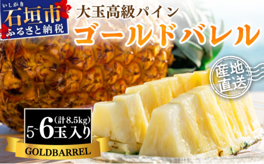 ＜先行予約＞ 石垣島産 ゴールドバレルパイン 大玉5～6個入り 約8.5kg ＜2026年7月以降発送＞ | 産地直送 沖縄 石垣 フルーツ パイナップル パイン ゴールドバレルパイン SI-8-2