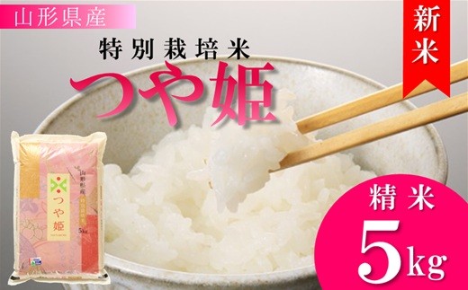 【令和8年産・精米】竹原田ファームの特別栽培米つや姫5kg　※10月中旬頃から順次配送