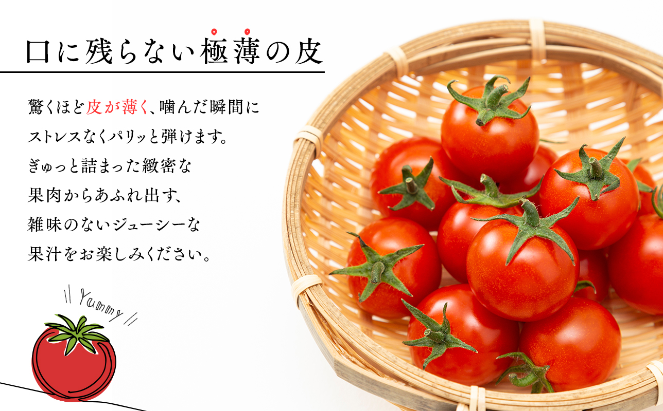 サマーチカ 6kg ミニトマト プチトマト 薄皮 フルーティー 新鮮野菜【hi-0070-003】
