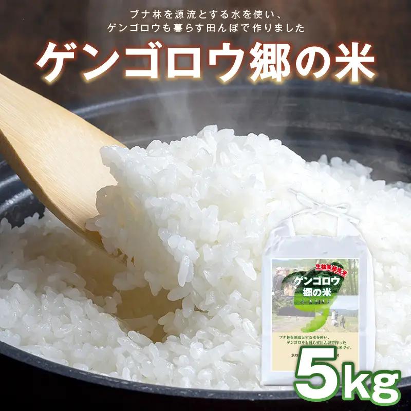 米 新米 2025年産 京丹後産コシヒカリ「ゲンゴロウ郷の米」5kg箱入