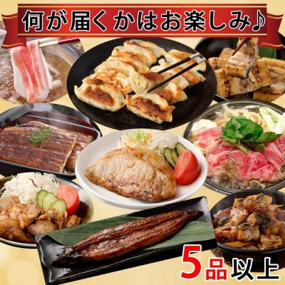 ふるさと納税 薩摩川内市 【お楽しみ福袋C】黒豚を使用した品が必ず2つ以上入る!5品以上 AS-540 |  | 01