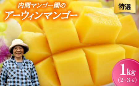 【2026年7月から順次発送・特選】内間マンゴー園のアーウィンマンゴー1kg(2～3玉)【配送不可地域：離島】【1695327】