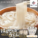 【ふるさと納税】大人気の北海道小麦使用「はるゆたかうどん 平麺」 うどん 麺 めん 北海道 美幌町 送料無料 BHRH013