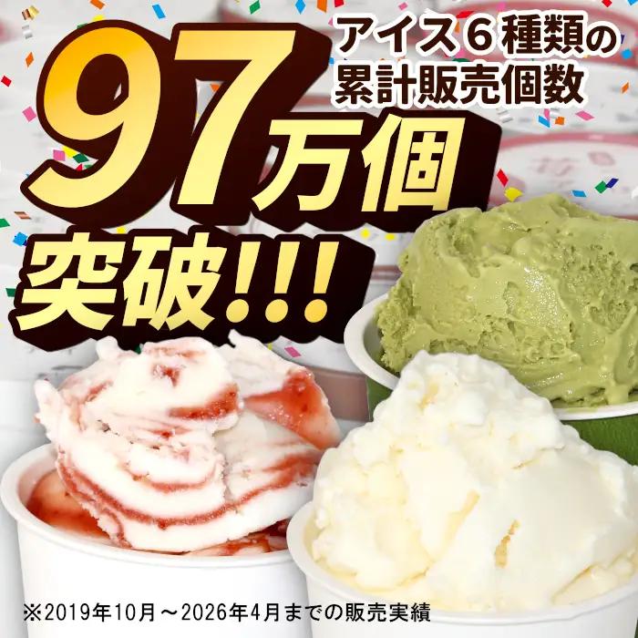 〈スピード発送〉ミルク感たっぷり★生ソフトクリームアイス＆プレミアム 西尾の抹茶アイス 16個  根羽村 ネバーランド 12000円